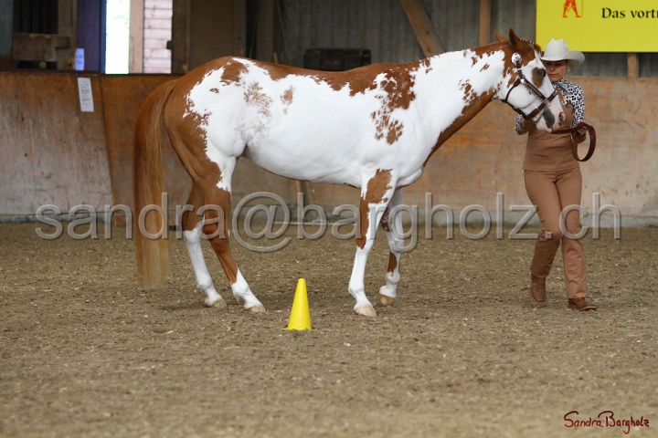23-APHA SS_047.jpg